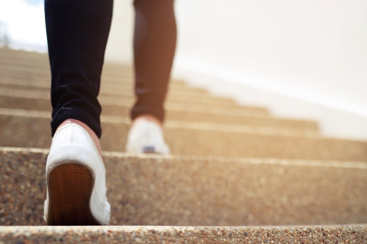 Woman Walking Up the Stairs 